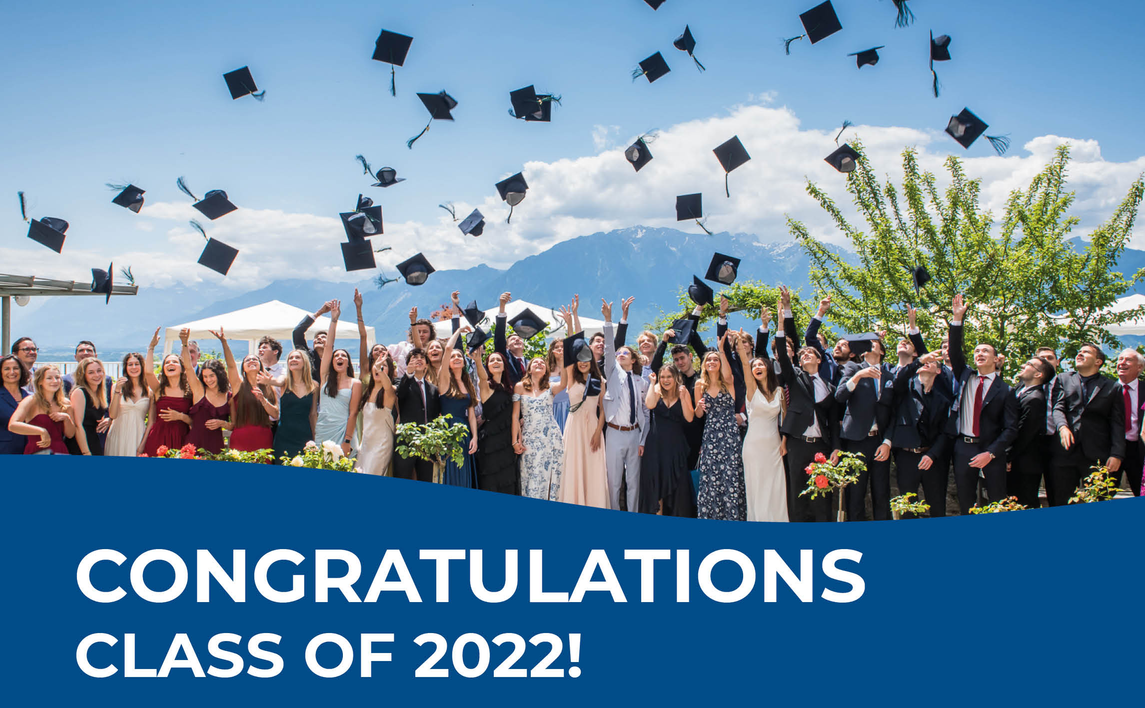 Impressive IB results